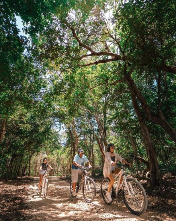 Hosté ubytování Loft Cabins In Cenotes Natural Park Tulum