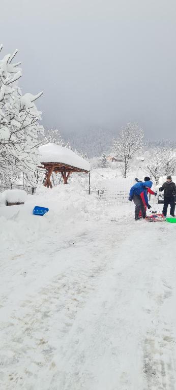 a group of people standing in the snow at Cabana Zimbru mica in Băile Borşa