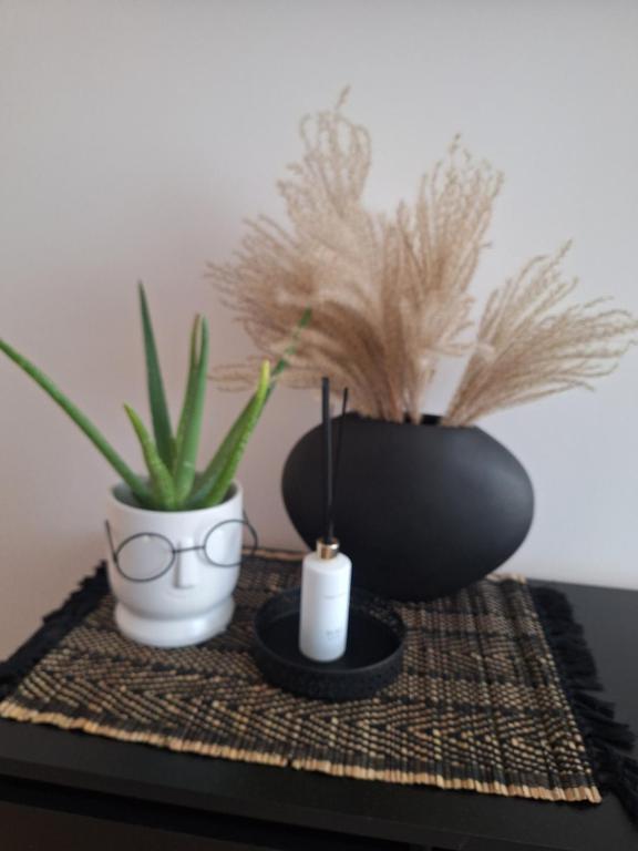 Šiauliai Central Cozy Apartment - Housity