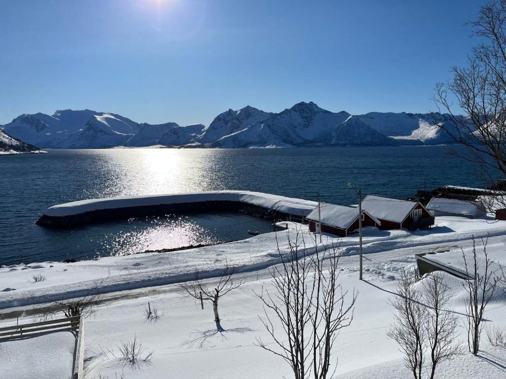 a swimming pool in the snow next to a body of water at Leilighet i rorbu på Kaldfarnes - Yttersia Senja in Kaldfarnes