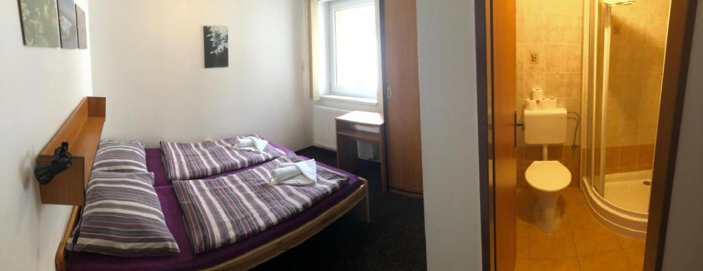 Voodi või voodid majutusasutuse Hotel Bartošovice toas