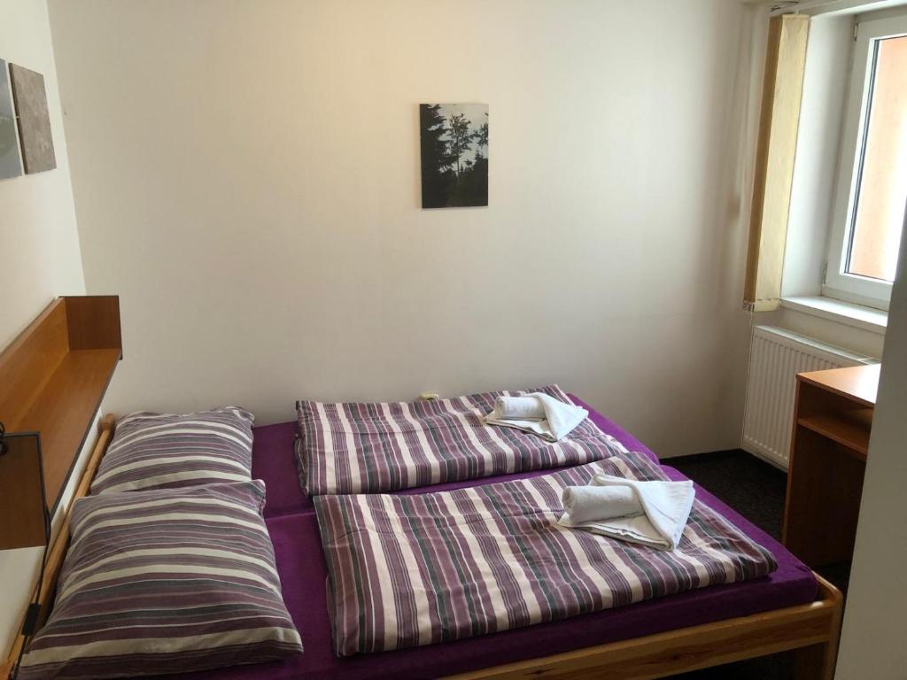 Voodi või voodid majutusasutuse Hotel Bartošovice toas