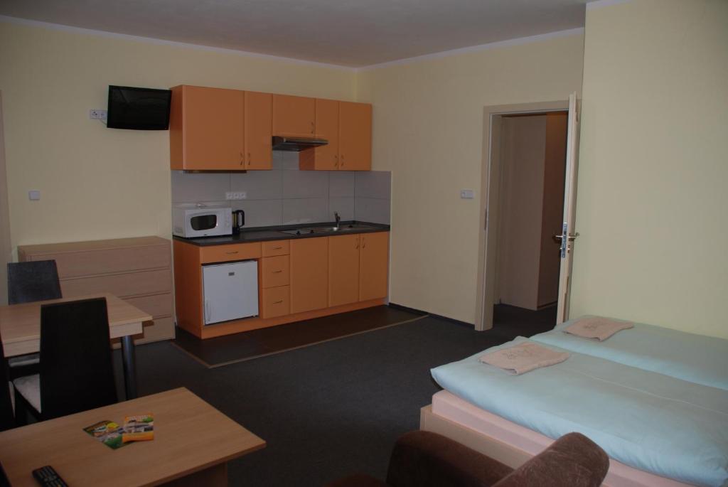 Kuchyň nebo kuchyňský kout v ubytování Apartmány Sport with Garage