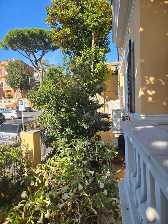 Sourire Hotel - Resim 38