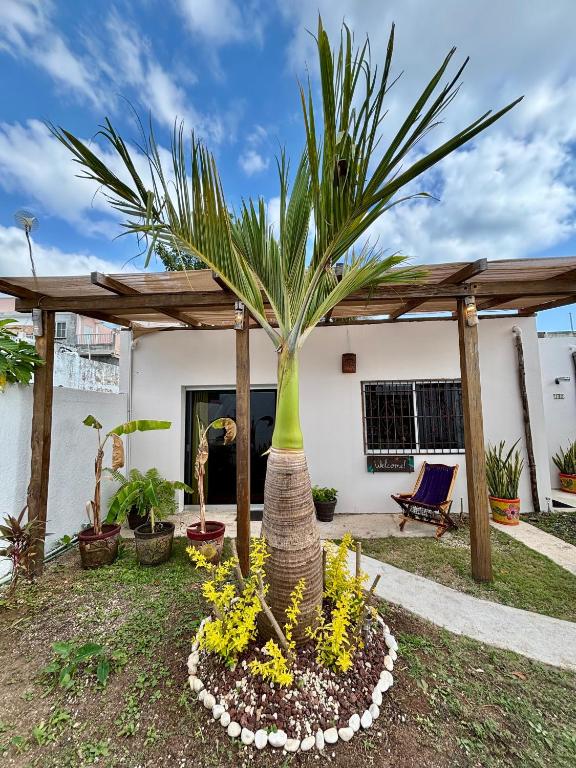 Zahrada ubytování Casa Las Palmas, comfort and privacy