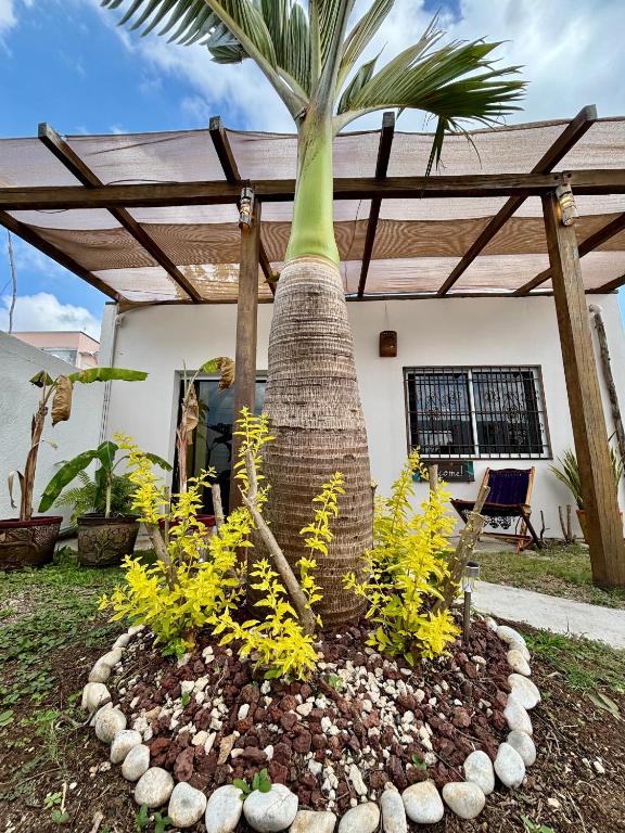 Zahrada ubytování Casa Las Palmas, comfort and privacy
