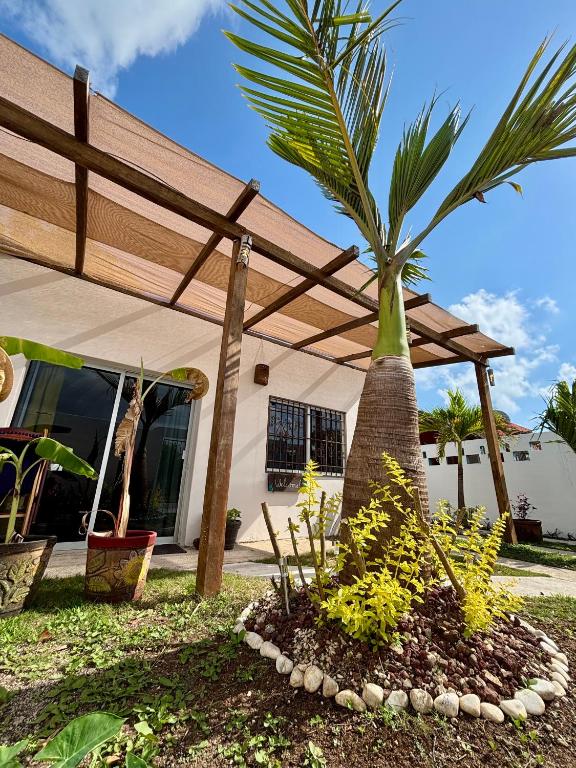 Zahrada ubytování Casa Las Palmas, comfort and privacy