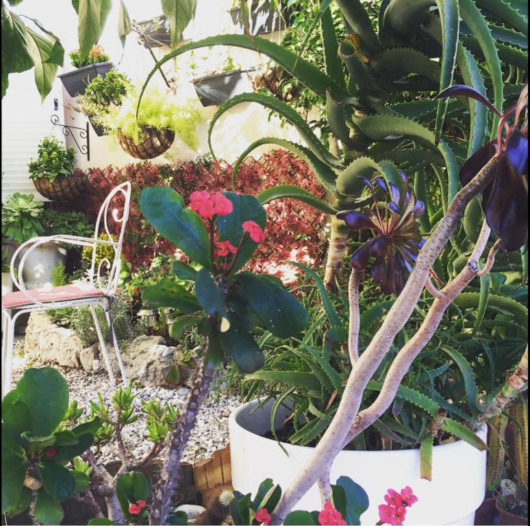 Hotel Danemark - Resim 38