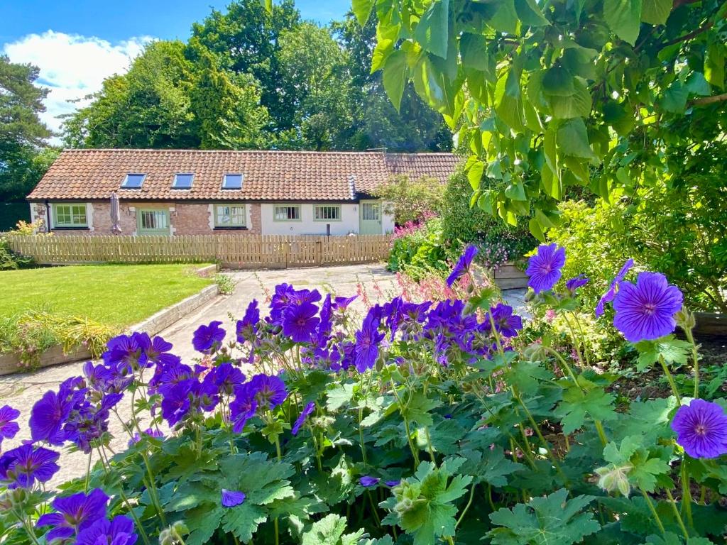 einen Garten mit lila Blumen vor einem Haus in der Unterkunft Pardlestone Farm Cottages in Kilve