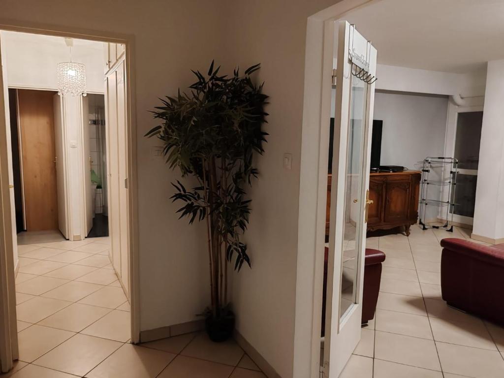 Spacieux et lumineux T5 avec 4 chambres, au centre-ville de Mulhouse, grand balcon, grand écran plat – photo 9