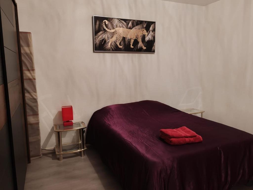 Spacieux et lumineux T5 avec 4 chambres, au centre-ville de Mulhouse, grand balcon, grand écran plat – photo 16
