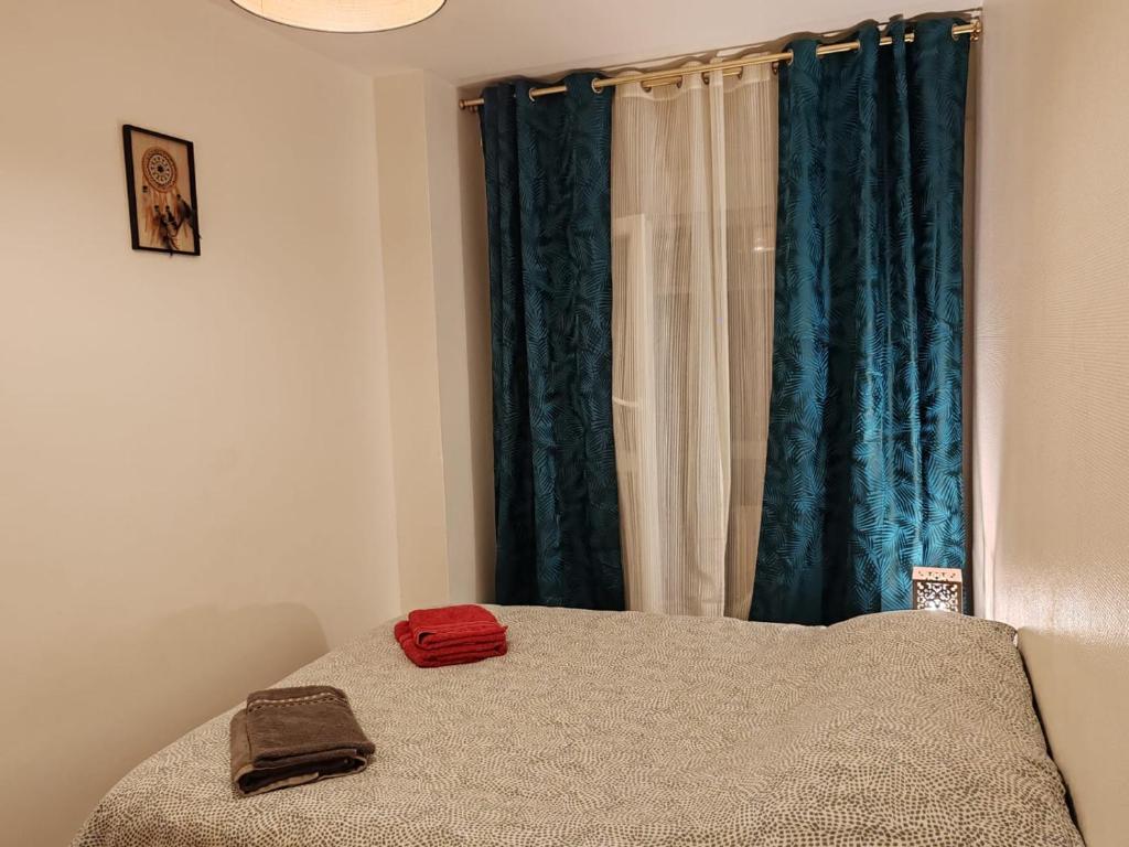 Spacieux et lumineux T5 avec 4 chambres, au centre-ville de Mulhouse, grand balcon, grand écran plat – photo 21