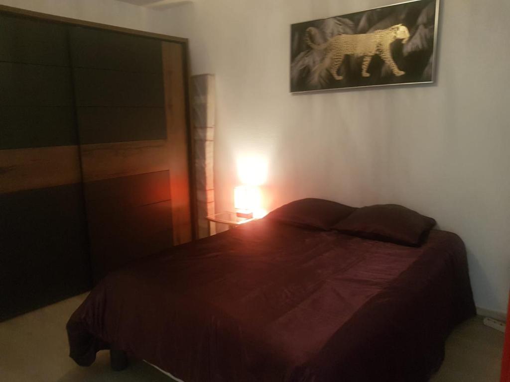Spacieux et lumineux T5 avec 4 chambres, au centre-ville de Mulhouse, grand balcon, grand écran plat – photo 24