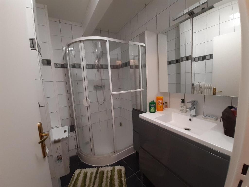 Spacieux et lumineux T5 avec 4 chambres, au centre-ville de Mulhouse, grand balcon, grand écran plat – photo 8