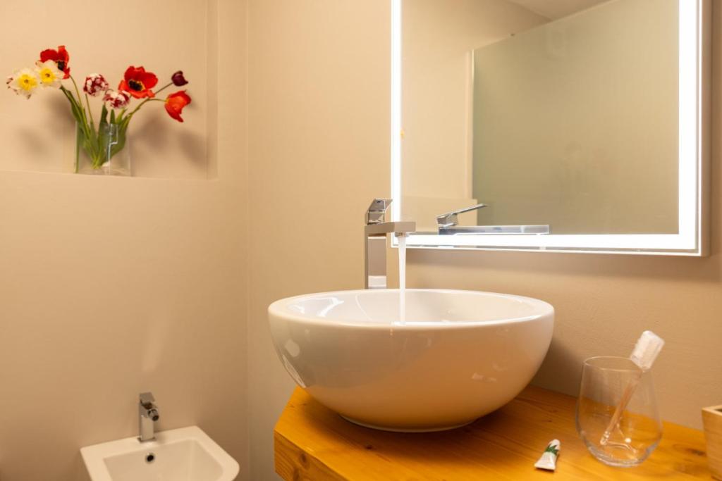Hotel Petit Tournalin - Deluxe Double Or Twin Room With Mountain View