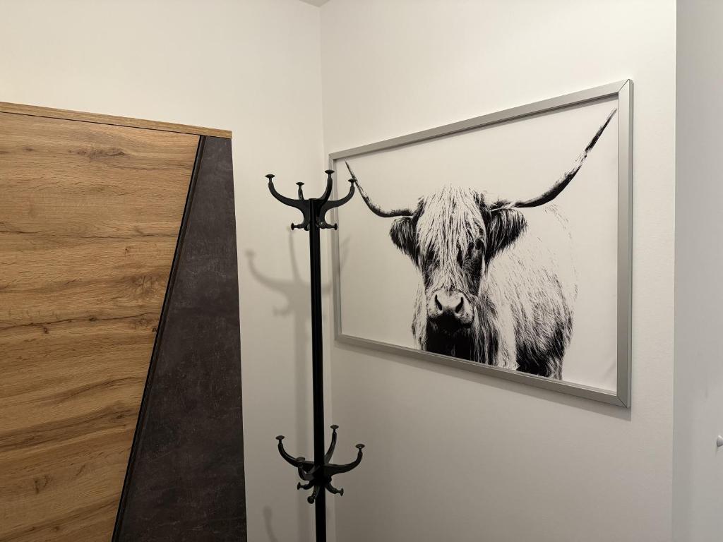 Zvířata v apartmánu nebo okolí