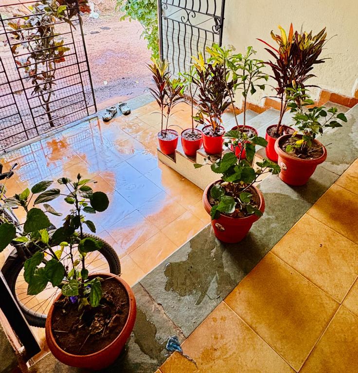 Zahrada ubytování CBS 2Bhk Villa