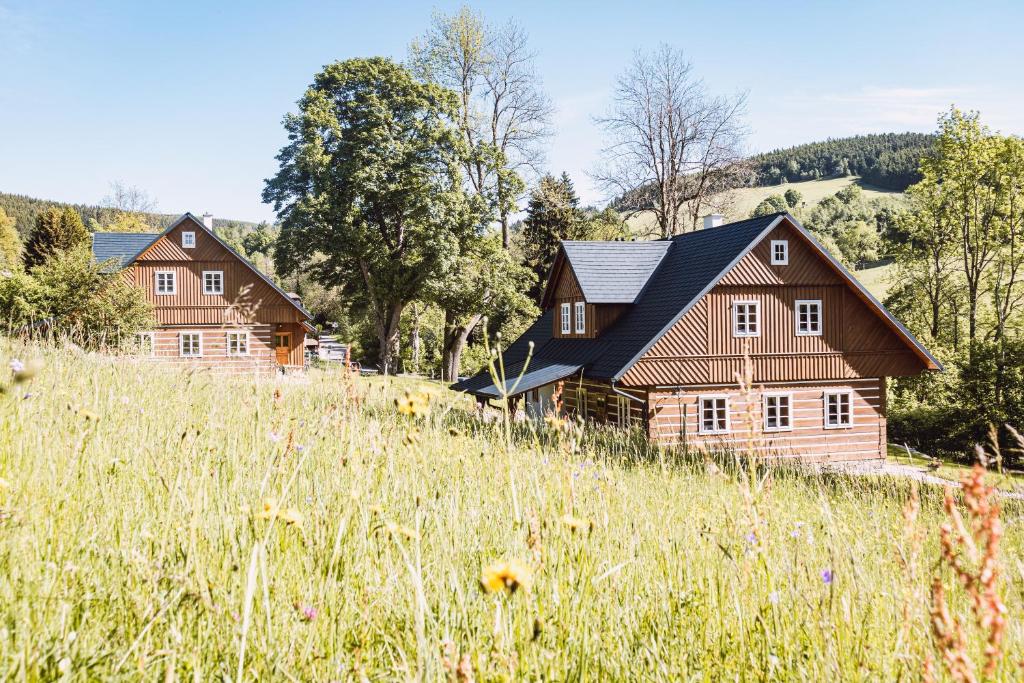 Príroda v okolí horskej chaty