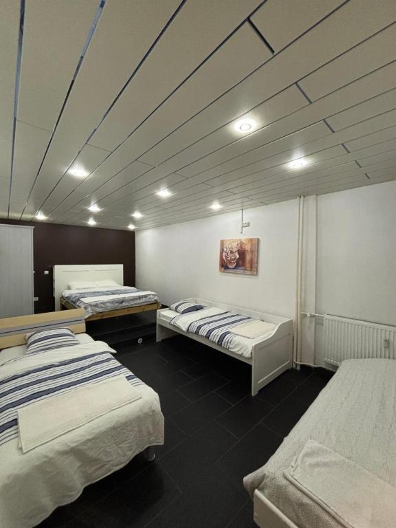 Appartement des trois Frontières – photo 7