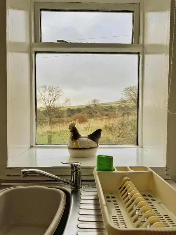 Fotografie z fotogalerie ubytování Kilchrist Castle Cottages v destinaci Campbeltown