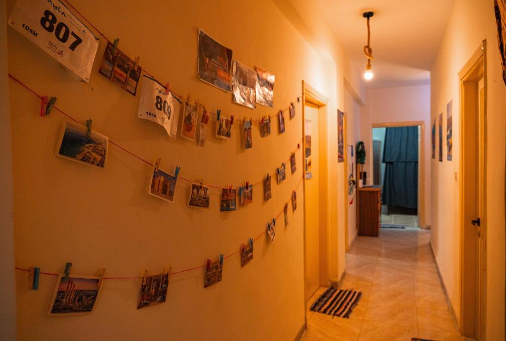 Knihovna v hostelu