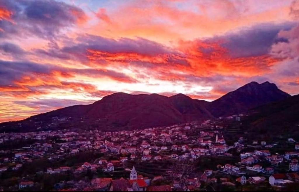 Olimpo degli Dei - 17