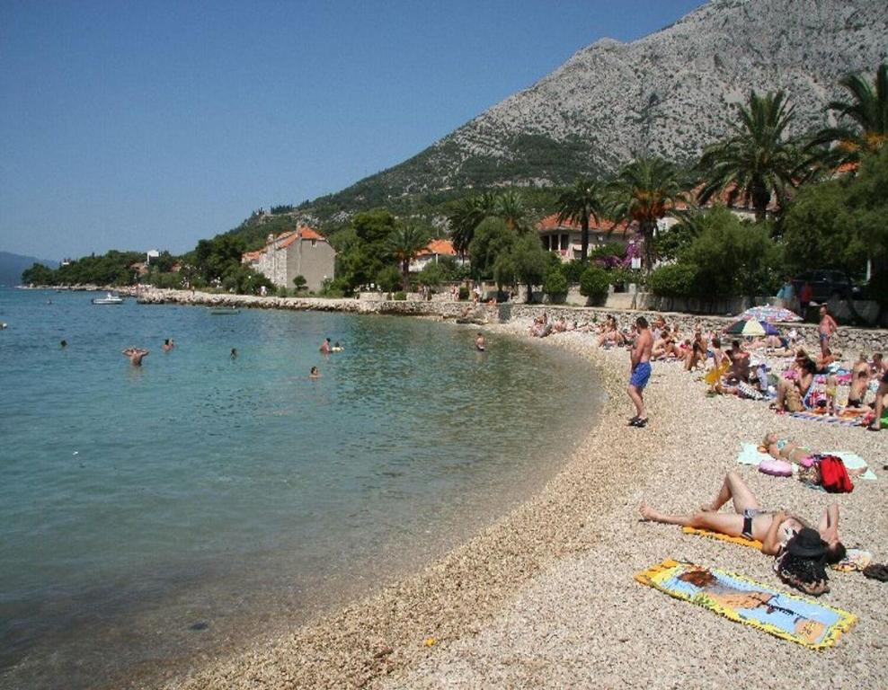 Príroda v okolí apartmánu