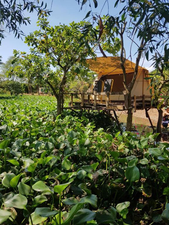Ấp Vĩnh An SốMeeto Camping Hồ Trị An的相册照片