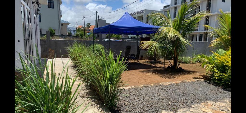 Un jardín fuera de Palm Creek Villa