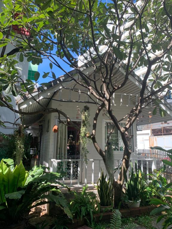 Dream Garden Villa Hotel Night Bazaar ChiangMai - 