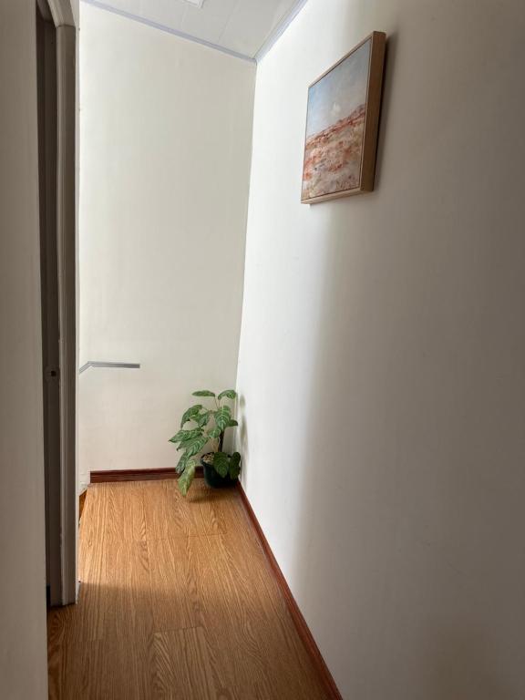 Φωτογραφία από το άλμπουμ του Apartamento σε Alajuela