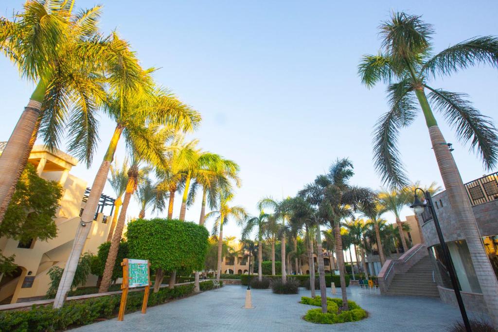 Zahrada ubytování Stella Gardens Resort & Spa, Makadi Bay