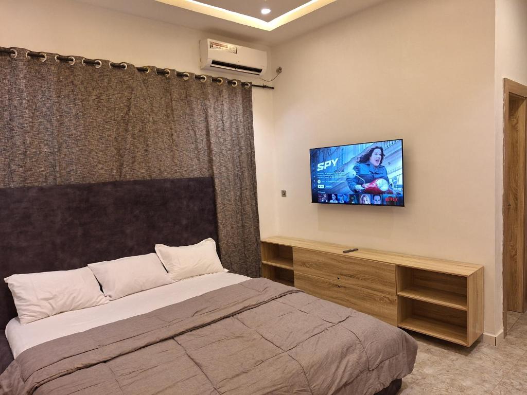 TV a/nebo společenská místnost v ubytování NPJ Suite
