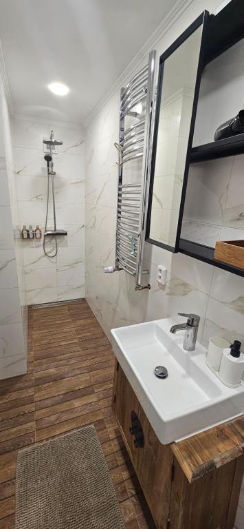 Koupelna v ubytování Apartmán 4YOU Jáchymov