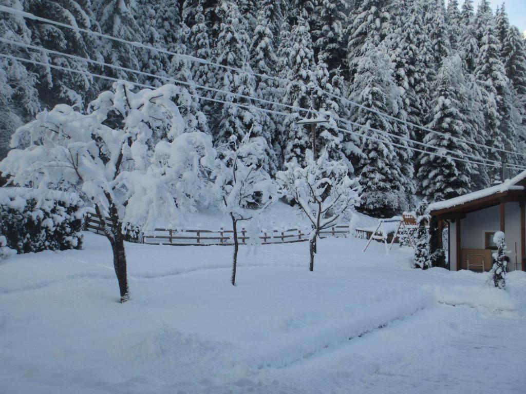Ferienhaus Schwarzenbacher v zimě