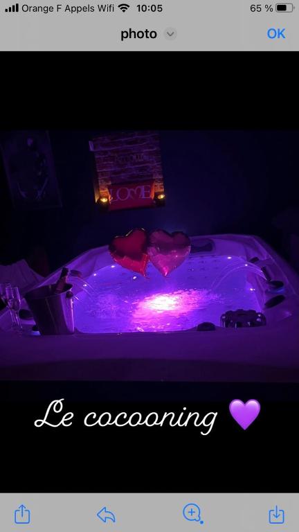 Le cocooning - 一卧室房屋