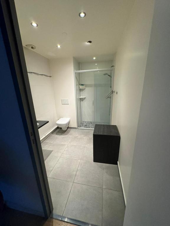 une salle de bain avec toilettes et douche en verre dans l'établissement Studio Chablais Park, à Annemasse