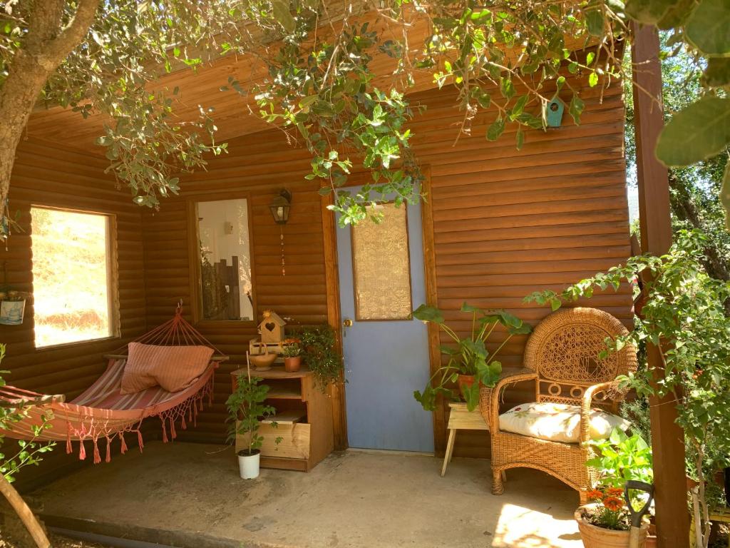 a porch of a wooden house with chairs and a table at Cabaña entre parras in Curacaví