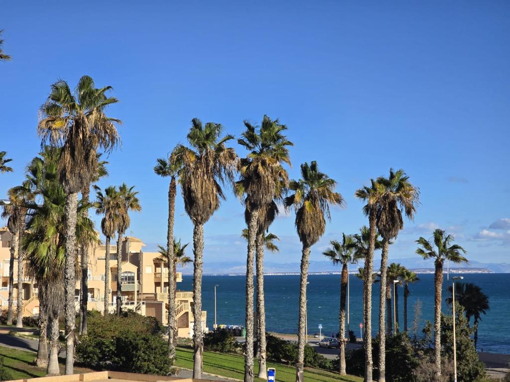 rząd palm przed oceanem w obiekcie Sunny bungalow La Mata with sea views w mieście Torrevieja