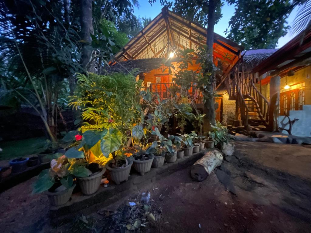 Zahrada ubytování Shan Home Stay Sigiriya