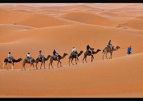 Hosté ubytování Sahara Desert Camp