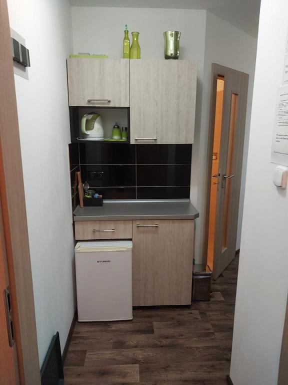 Kuchyň nebo kuchyňský kout v ubytování Apartmány Freesia