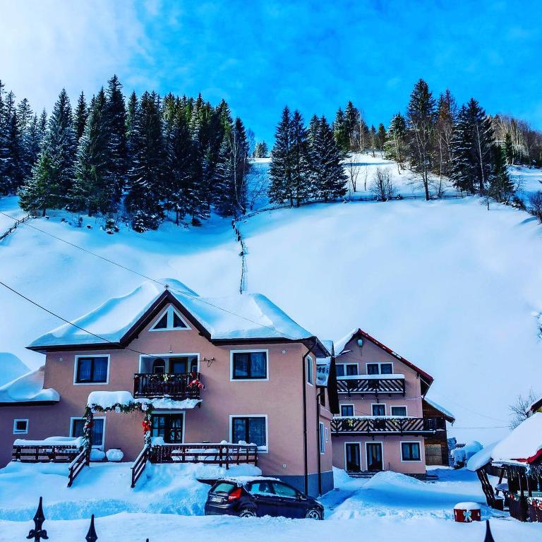 a house on a snow covered hill with trees at Vila Nico 2 in Moieciu de Sus