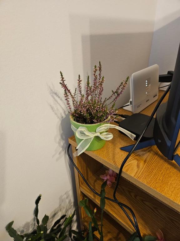 TV a/nebo společenská místnost v ubytování Apartman Noa