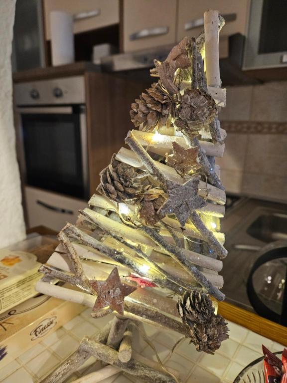 Kuchyň nebo kuchyňský kout v ubytování Apartman Noa