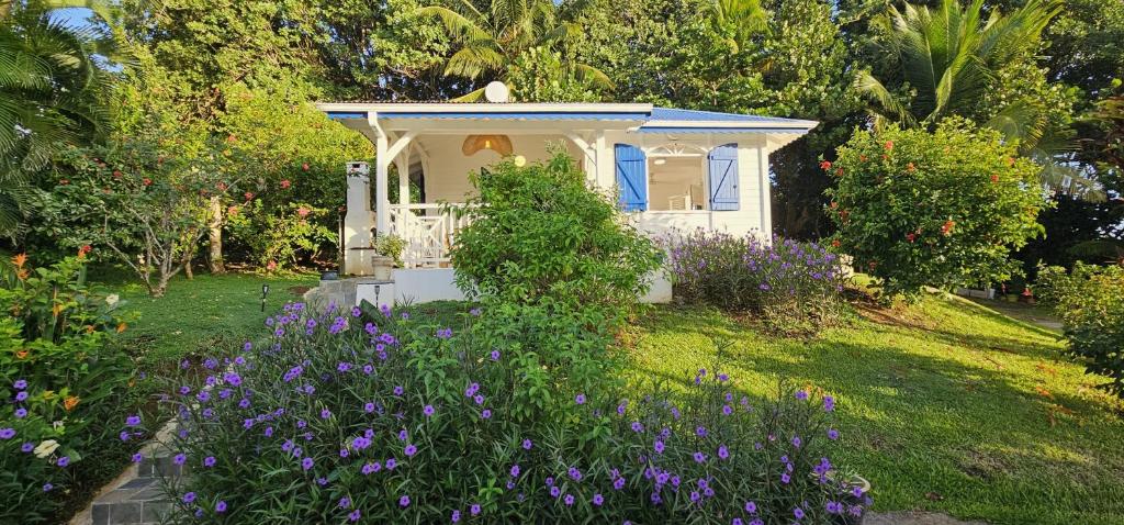 Giardino di Villa M'Bay