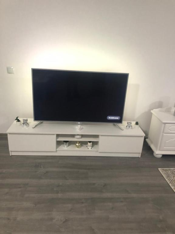 TV a/nebo společenská místnost v ubytování Caraiman House