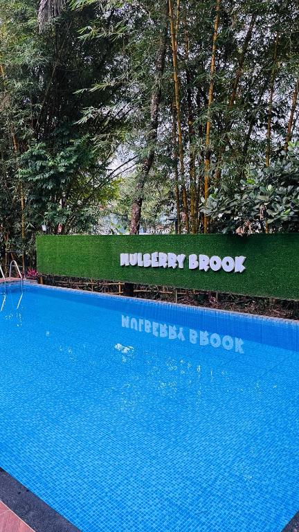 Bazén v ubytování Mulberry brook nebo v jeho okolí