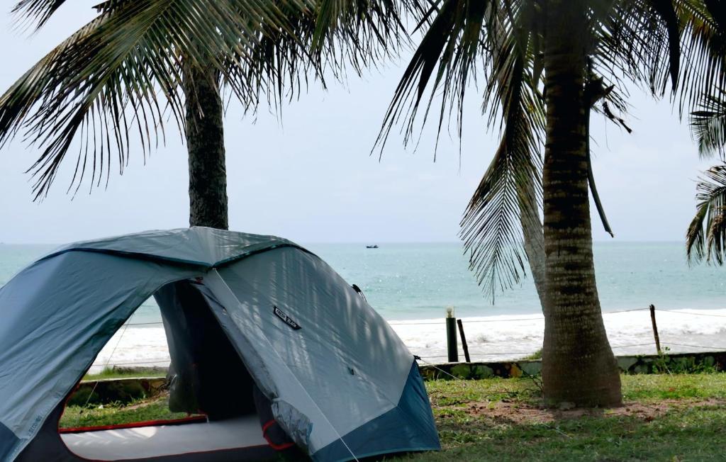 Afro Beach eco Resort Butre - テント