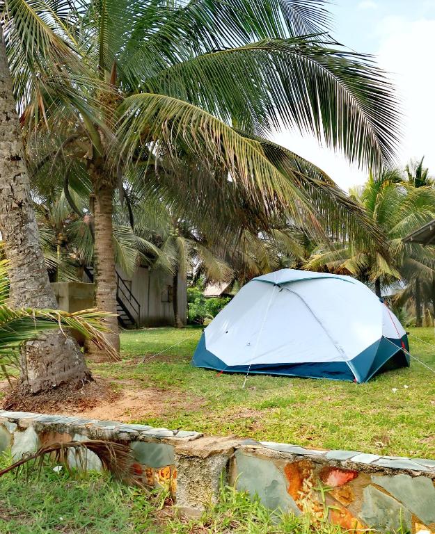 Afro Beach eco Resort Butre - テント
